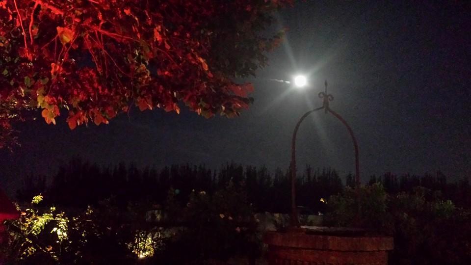 Agriturismo Ferretti Villa Massa Lombarda Eksteriør bilde