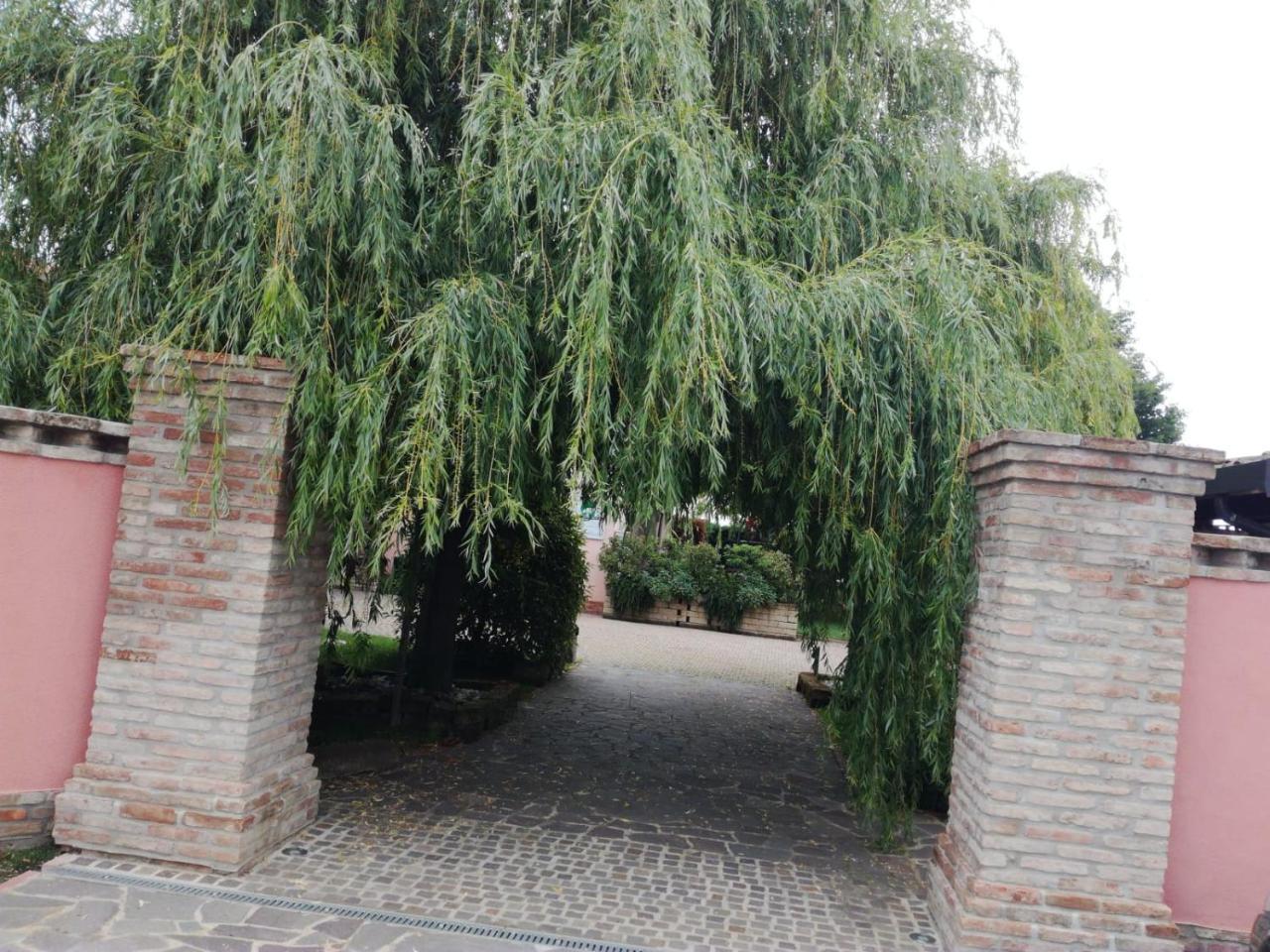 Agriturismo Ferretti Villa Massa Lombarda Eksteriør bilde